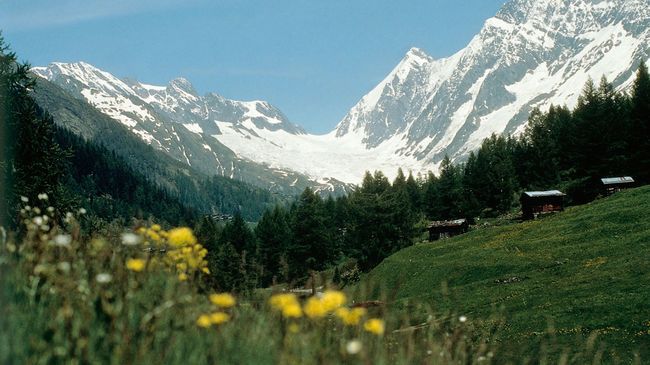 Hotel Edelweiss Blatten Loetschental Kültér fotó